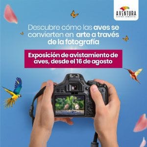 Exposición Plumas, Canto y Naturaleza